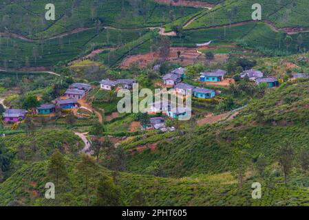 Panoramablick auf Haputale in Sri Lanka. Stockfoto