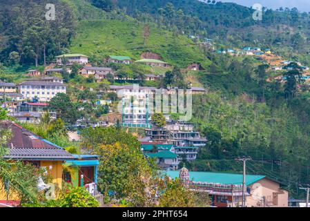 Panoramablick auf Haputale in Sri Lanka. Stockfoto