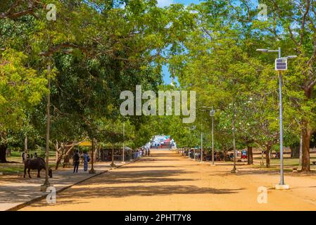 Kataragama ist ein wichtiger Wallfahrtsort in Sri Lanka, der für Buddhisten, Hinduisten, Muslime und Veddah wichtig ist. Stockfoto