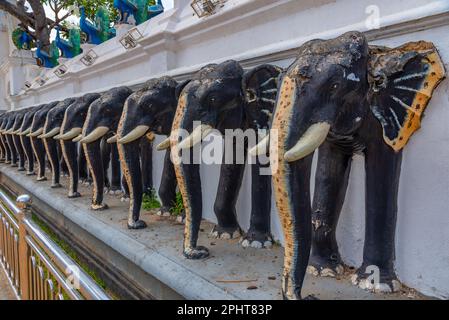 Elefantenschnitzereien im Maha Devale-Schrein in Kataragama, Sri Lanka. Stockfoto