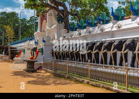 Elefantenschnitzereien im Maha Devale-Schrein in Kataragama, Sri Lanka. Stockfoto