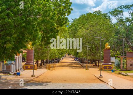 Kataragama ist ein wichtiger Wallfahrtsort in Sri Lanka, der für Buddhisten, Hinduisten, Muslime und Veddah wichtig ist. Stockfoto