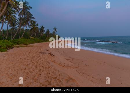 Sonnenuntergang über Marakolliya Beach in Sri Lanka. Stockfoto