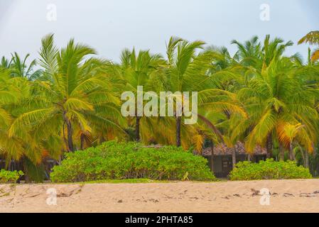 Sonnenuntergang über Marakolliya Beach in Sri Lanka. Stockfoto