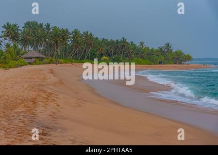 Sonnenuntergang über Marakolliya Beach in Sri Lanka. Stockfoto