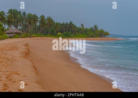 Sonnenuntergang über Marakolliya Beach in Sri Lanka. Stockfoto