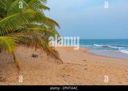 Sonnenuntergang über Marakolliya Beach in Sri Lanka. Stockfoto