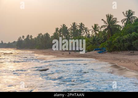 Sonnenuntergang über Marakolliya Beach in Sri Lanka. Stockfoto