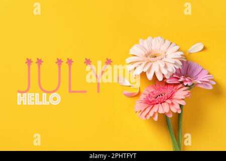 Hallo, Juli. Schöne Gerbera-Blumen auf gelbem Hintergrund, flach liegend Stockfoto