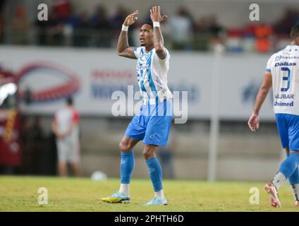 Belem, Brasilien. 29. März 2023. PA - BELEM - 03/29/2023 - COPA VERDE 2023, REMO X PAYSANDU - Paysandu-Spieler Mario Sergio feiert sein Tor während eines Spiels gegen Remo im Mangueirao-Stadion für die Copa Verde-Meisterschaft 2023. Foto: Fernando Torres/AGIF/Sipa USA Guthaben: SIPA USA/Alamy Live News Stockfoto