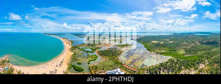 Luftaufnahme der von Windkraftturbinen überblickten landwirtschaftlichen Felder in Kalpitiya in Sri Lanka. Stockfoto