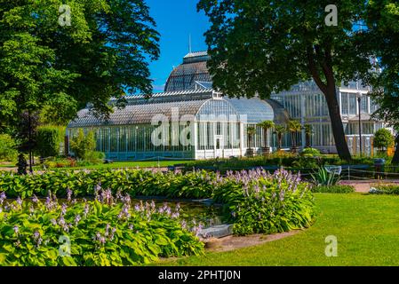 Das Palmenhaus der Gartengesellschaft Göteborg in Schweden. Stockfoto