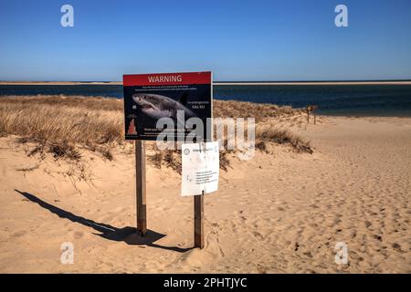 Chatham, Cape Cod, Massachusetts – 5. März 2023: Warnung vor einem weißen Hai am Chatham Lighthouse Beach an einem sonnigen Tag im Winter Stockfoto