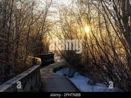 Levé de soleil au Centre d'Interprétation de la nature du lac Boivin Granby Québec Stockfoto