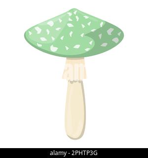 Grüner Amanita-Pilz. Essbare organische Pilze. Trüffel. Waldpilzarten. Farbige Vektordarstellung isoliert auf weißem Hintergrund. Stock Vektor