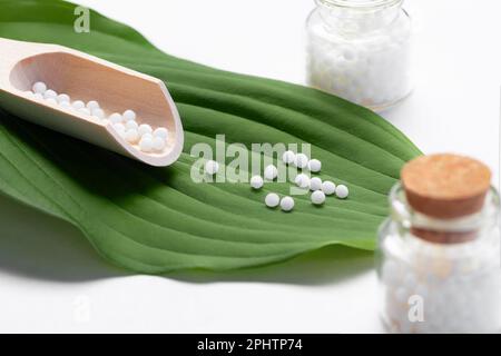 Homöopathische Pillen aus einer Holzschaufel auf einem grünen Blatt. Stockfoto