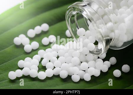 Homöopathische Pillen aus einer Flasche auf einem grünen Blatt, Nahaufnahme Stockfoto