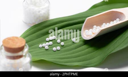 Homöopathische Pillen aus einer Holzschaufel auf einem grünen Blatt. Stockfoto