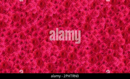 Hintergrund: Rosenblüten. Rote Rosenblumen im Hintergrund. 3D-Darstellung rendern Stockfoto