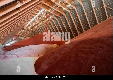 Gießen von roten Phosphatdüngern auf Stapel im Lagerhaus Stockfoto