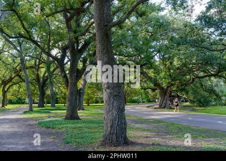 NEW ORLEANS, LA, USA - 18. SEPTEMBER 2022: Bäume, Radwege und Fußgängerwege im Audubon Park Stockfoto