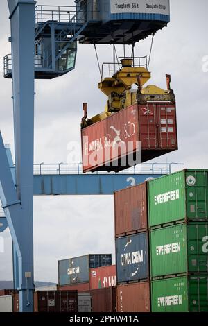 Bad Ems, Deutschland. 29. März 2023. Im Containerhafen Mainz wird ein Container mit einem Kran beladen. Das Statistische Amt Rheinland-Pfalz wird die Zahlen für das Bruttoinlandsprodukt des Staates 2022 am 30. März vorlegen. Kredit: Sebastian Christoph Gollnow/dpa/Alamy Live News Stockfoto