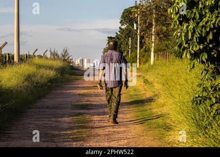 Marilia, Sao Paulo, Brasilien, 22. März 2023. Ein Mann mittleren Alters mit Rosmarin-Setzlingen in der Hand geht auf einer Landstraße zu den Gebäuden in der C. Stockfoto