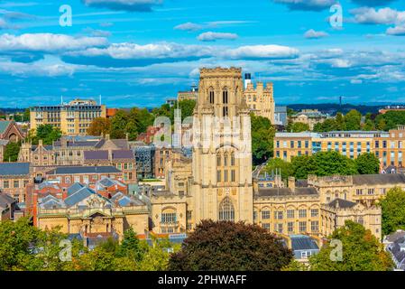 Der Wills Memorial Building Tower in Bristol, England. Stockfoto