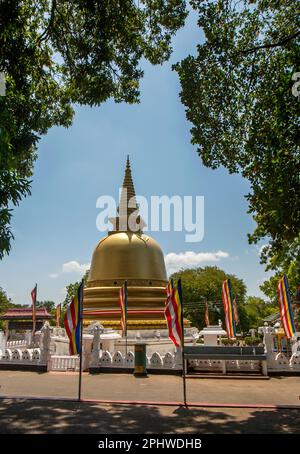 Die schöne goldene Stupa neben dem Goldenen Tempel in Dambulla in Zentral-Sri Lanka. Der Goldene Tempel wurde 2000 erbaut. Stockfoto