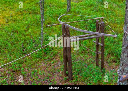 Jagdfallen im Kierikki Stone Age Centre in Finnland. Stockfoto