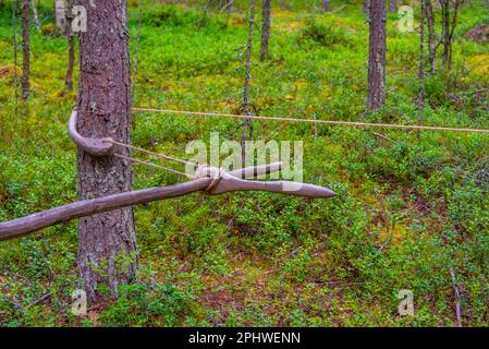 Jagdfallen im Kierikki Stone Age Centre in Finnland. Stockfoto