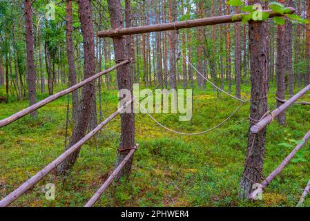 Jagdfallen im Kierikki Stone Age Centre in Finnland. Stockfoto