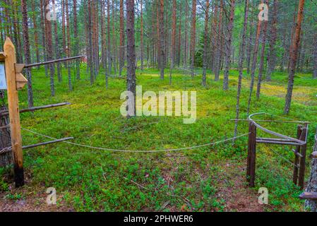 Jagdfallen im Kierikki Stone Age Centre in Finnland. Stockfoto