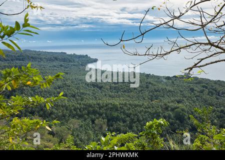 Panoramablick auf den alten Camiguin Vulkan in Camiguin, Philippinen, mit Baumwipfeln im Vordergrund und dem Meer im Hintergrund. Stockfoto