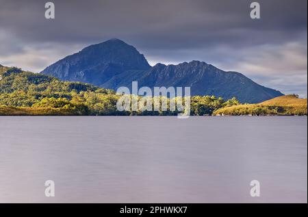 Nachmittagslicht auf dem Rugby über die Waldlagune, Melaleuca, Südwest-Nationalpark, Tasmanien, Australien Stockfoto