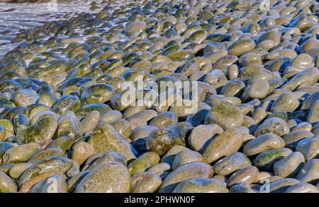 Erodierte runde Felsen am Meer auf dem Wanderweg der Halbinsel Labillardiere, South Bruny National Park, Bruny Island, Tasmanien, Australien Stockfoto