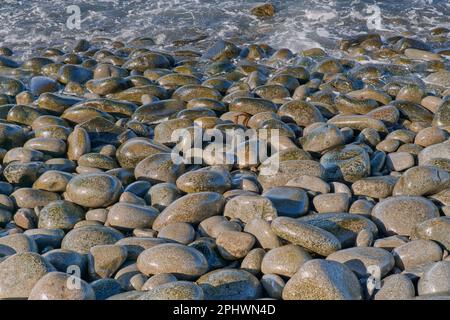 Erodierte runde Felsen am Meer auf dem Wanderweg der Halbinsel Labillardiere, South Bruny National Park, Bruny Island, Tasmanien, Australien Stockfoto