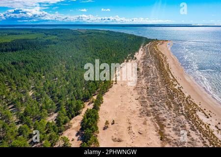 Panoramablick auf den Yyteri-Strand in Finnland. Stockfoto