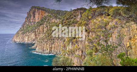 Felsformationen aus gewölbten Doleriten auf Bruny Island, Tasmanien, Australien Stockfoto