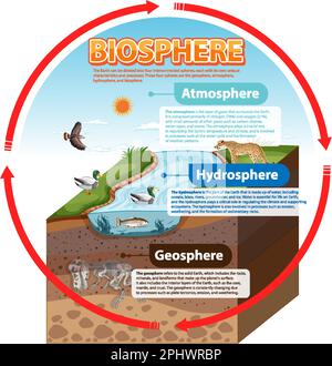 Biosphäre Ökologie Infografik für Lernzwecke Illustration Stock Vektor