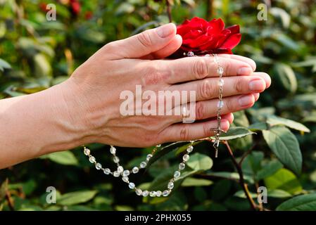 Hände mit dem Rosenkranz einer betenden verheirateten Frau auf üppigem Grün und einer roten Rose an einem sonnigen Tag. Stockfoto
