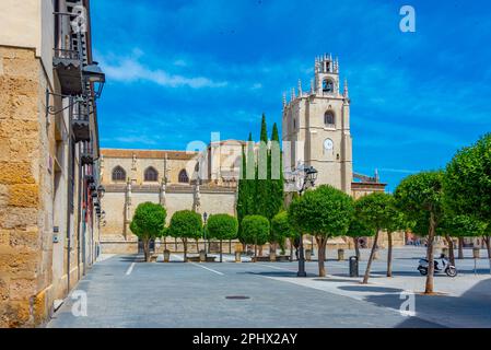 Catedral de San Antolin in der spanischen Stadt Palencia Stockfoto