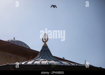 Mevlana Museum, auch bekannt als Grünes Mausoleum oder Grüner Dom Stockfoto