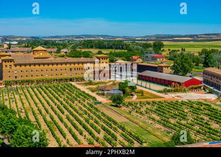 Weinberge im Kloster von San Francisco in Olite, Spanien. Stockfoto
