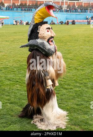 Mummer aus Zentralbulgaren trägt seltsame Maske und Ziegenhaarkostüm beim jährlichen Simitlia Winter Festival in Simitli, Bulgarien, Balkan, EU Stockfoto