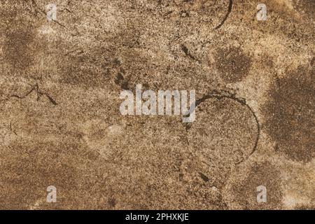 Braunes Beton- oder Zementmaterial in abstrakter Wandhintergrundstruktur. Stockfoto