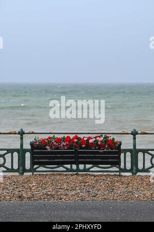 Eine Gedenkbank an der Küste von Hove wurde mit Blumen dekoriert - Brighton , Sussex , England , UK Credit Simon Dack Stockfoto