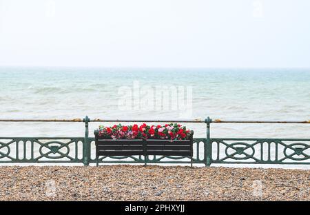 Eine Gedenkbank an der Küste von Hove wurde mit Blumen dekoriert - Brighton , Sussex , England , UK Stockfoto