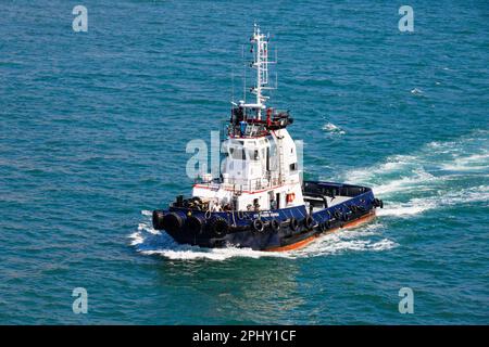 Hochsee- und Hafenschlepper, CTE Passos Gouvia, am Meer der Küste von Funchal, Madeira, Portugal. 2003 erbaut. Stockfoto