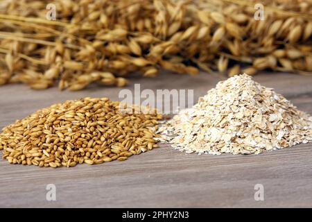Kulturhafer, Gemüsehafer (Avena sativa), Spikes, Körner und Flocken Stockfoto